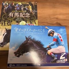 第35回有馬記念レーシングプログラム レーシングプログラム記念 第35回有馬記念レーシングプログラム 12/22