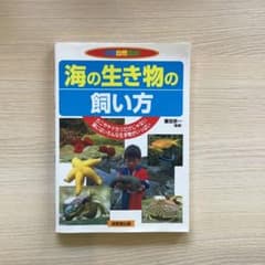 海の生き物の飼い方 成美堂出版のサムネイル