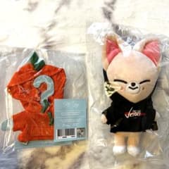 straykids アイエン フォクシニー ぬいぐるみ シトラスぬい服 - メルカリ