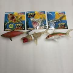 アンドコ　シャークアタック！　3体まとめ売り