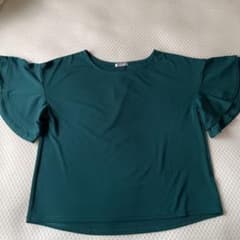 Tシャツ カットソー トップスのサムネイル