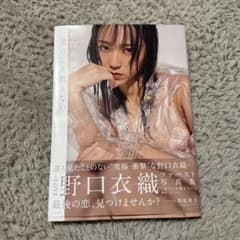 =LOVE 野口衣織 写真集のサムネイル