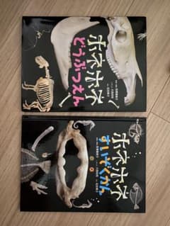 ホネホネどうぶつえん　ホネホネすいぞくかんのサムネイル