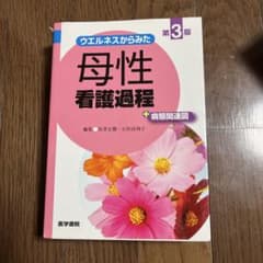 ウエルネスからみた 母性看護過程 +病態関連図のサムネイル