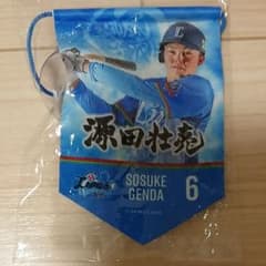 埼玉西武ライオンズ 源田壮亮 ミニタペストリーのサムネイル