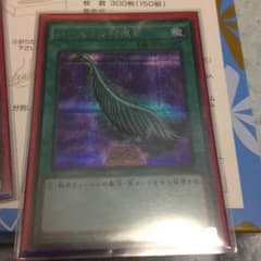 ハーピィの羽根帚 シクのサムネイル