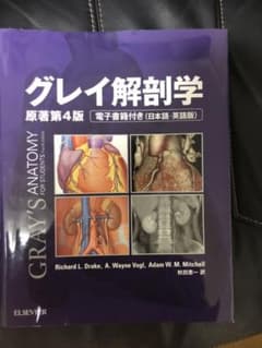 グレイ解剖学のサムネイル