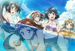 バンドリ！ Blu-ray ゲーマーズ 全巻購入特典 タペストリー 未開封品のサムネイル