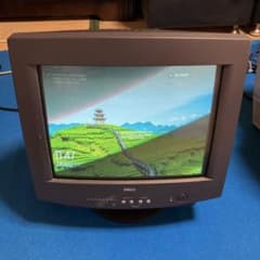 DELL デル　 E￼551 CRTディスプレイ　14インチ　動作確認済み DELL デル E￼551 CRTディスプレイ 14インチ 動作確認済み - メルカリ