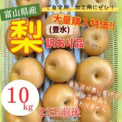 富山県産 豊水梨 訳あり品 10kg 22玉前後　大量購入特価！のサムネイル
