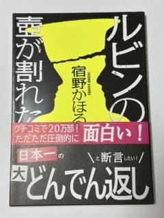 ルビンの壺が割れた 宿野かほるのサムネイル