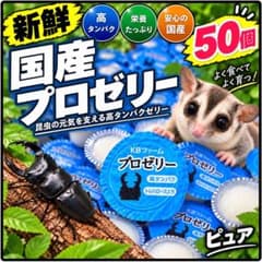 昆虫ゼリー800クワガタ・カブトムシ・ハムスター・モモンガB 昆虫ゼリー プロゼリー50 クワガタ・カブトムシ・ハムスター・モモンガ