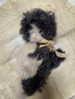 定価55000円　作家　ぬいぐるみ ハチワレねこちゃん 人形 定価55000円 作家 ぬいぐるみ ハチワレねこちゃん 人形 - メルカリ