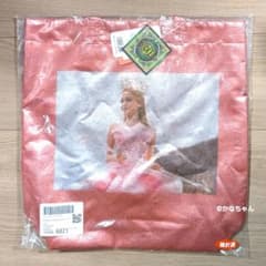 레어 WICKED 위키드 Casselini 토트 백 그린다