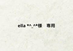 ella *^_^*様 リクエスト 2点 まとめ商品のサムネイル