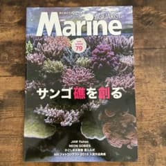 Marine 珊瑚礁を創るのサムネイル