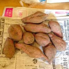 たま3様専用ページです♪ 宮崎県産野菜 減農薬安納芋 千切り大根同梱のサムネイル