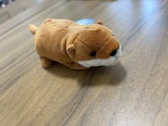 カワウソ ぬいぐるみ 小型 茶色のサムネイル