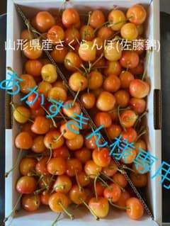 山形県産さくらんぼ (佐藤錦) 加工用のサムネイル