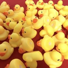 takachan様専用ガーガーちゃんがいっぱい　アヒルすくいやインテリアにのサムネイル