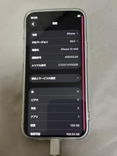 ジャンク iPhone 12 mini 128GB液晶 線アリ 本体のみ - メルカリ