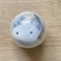 【新品未使用】クオリア 未確認生物 UMAのぬいぐるみ ガチャのサムネイル