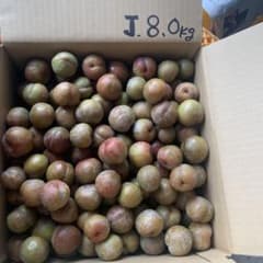 J.南国指宿産 すもも8.0Kg - メルカリ