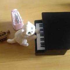 ぷちねこ日記⑥こねこふんじゃった？のサムネイル