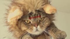 ノスケ様専用のサムネイル