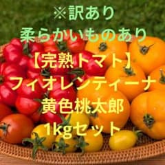 ⑤訳あり完熟トマト『フィオレンティーノ』『黄色桃太郎』組合せ1kgセットのサムネイル