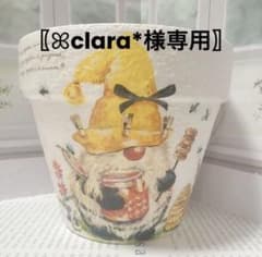 デニグリー錦 大疣 国内実生 鉢植えメルカリ便送料込み ꕤclara*様専用〗おまとめ - メルカリ