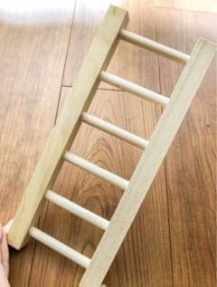 【バードアスレチック用】おもちゃはしごのサムネイル