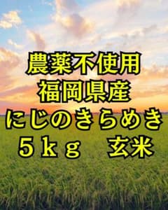 農薬不使用 福岡県産 新米 玄米 令和8年産 にじのきらめき 5kg 農家直送のサムネイル