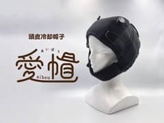 愛帽 アイスジャパン 頭皮冷却 (3時間分) ※値下げ不可 - メルカリ