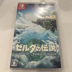 젤다의 전설 티어즈 오브 더 킹덤 Switch 소프트