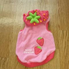 専用 ペットパラダイス いちごのサムネイル