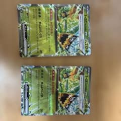 ポケモンカード タケルライコex2枚 オーガポンみどりのめんex デッキ