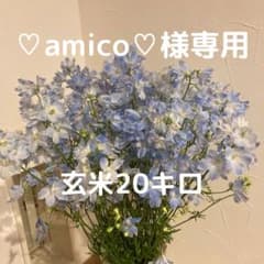 【♡amico♡様専用】のサムネイル
