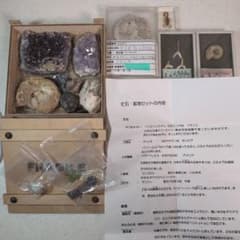 福島県の「いわき市石炭・化石館　ほるる」化石、鉱石セット、本物のサムネイル