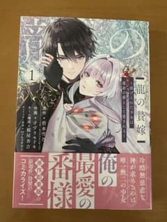 龍の贄嫁～虐げられた少女は運命の番として愛される～(1) - メルカリ