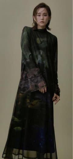 AMERI NUANCE ART LAYER SHEER DRESSのサムネイル