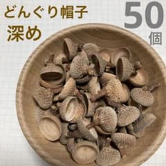 やや深　ドングリ　どんぐり　帽子　ぼうし　枝つき　まとめ売りのサムネイル