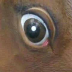 ゆーき様専用のサムネイル