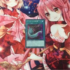 ハーピィの羽根箒のサムネイル