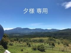 夕様 専用のサムネイル
