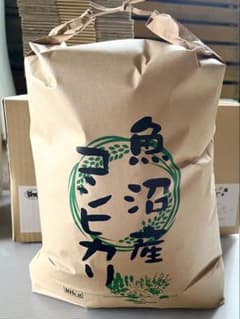 令和７年産 魚沼産コシヒカリ ５キロ精米（訳あり）のサムネイル