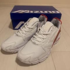 【ひろ様専用】MIZUNO WAVE RIDER10 ×DOEのサムネイル
