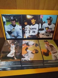 超レア！阪神タイガースウエハース！写真型プロマイド52枚等計119枚！ 超レア！阪神タイガースウエハース！写真型プロマイド52枚等計119枚