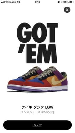 NIKE DUNK LOW VIOTECH CRAZY  ナイキ　ダンク ローのサムネイル