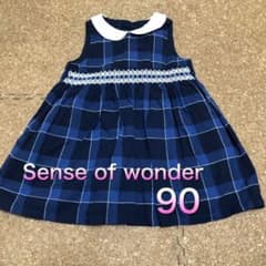センスオブワンダーワンピース　90のサムネイル